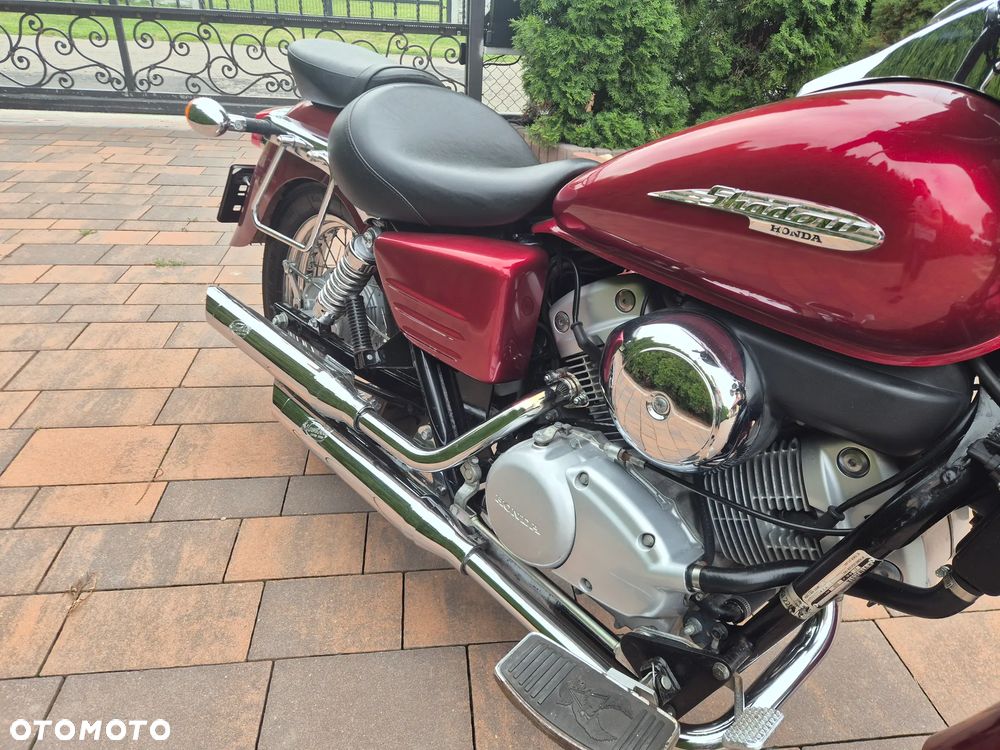 Honda Shadow - 5
