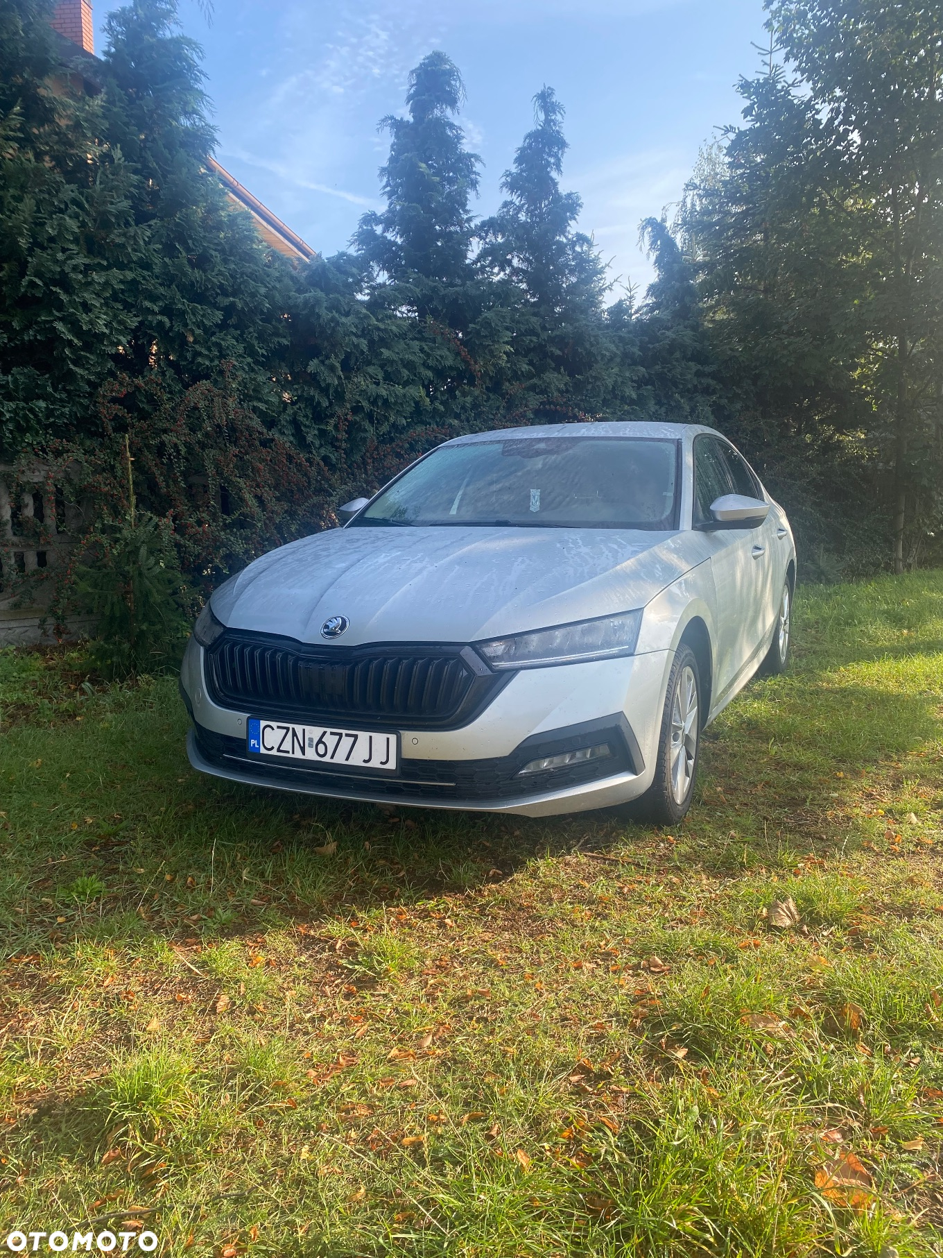 Skoda Octavia 1.5 TSI ACT Active - 2