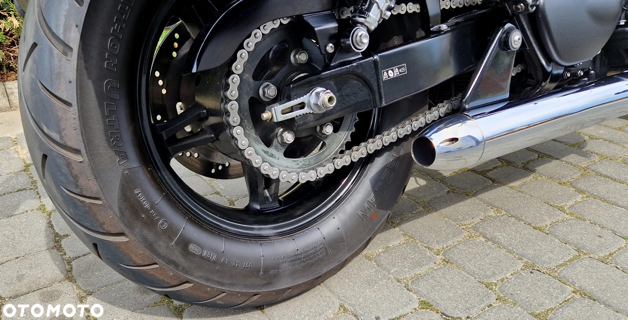 Triumph Speedmaster - 18