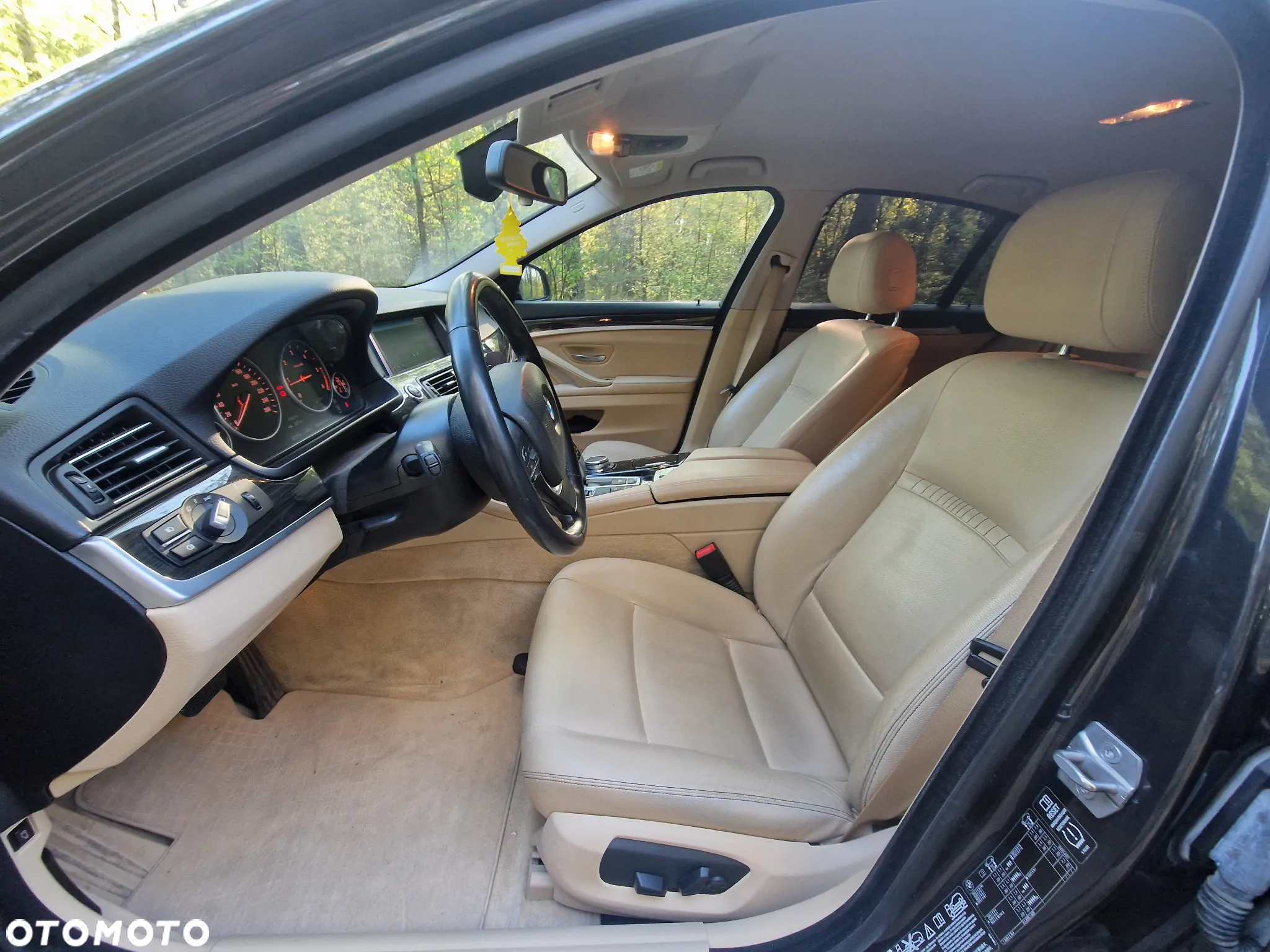 BMW Seria 5 520d Luxury Line sport - 22