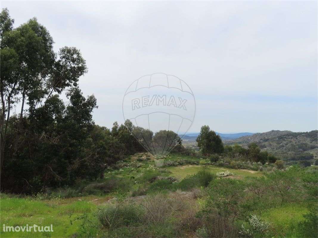 Quinta  para venda - Grande imagem: 4/28