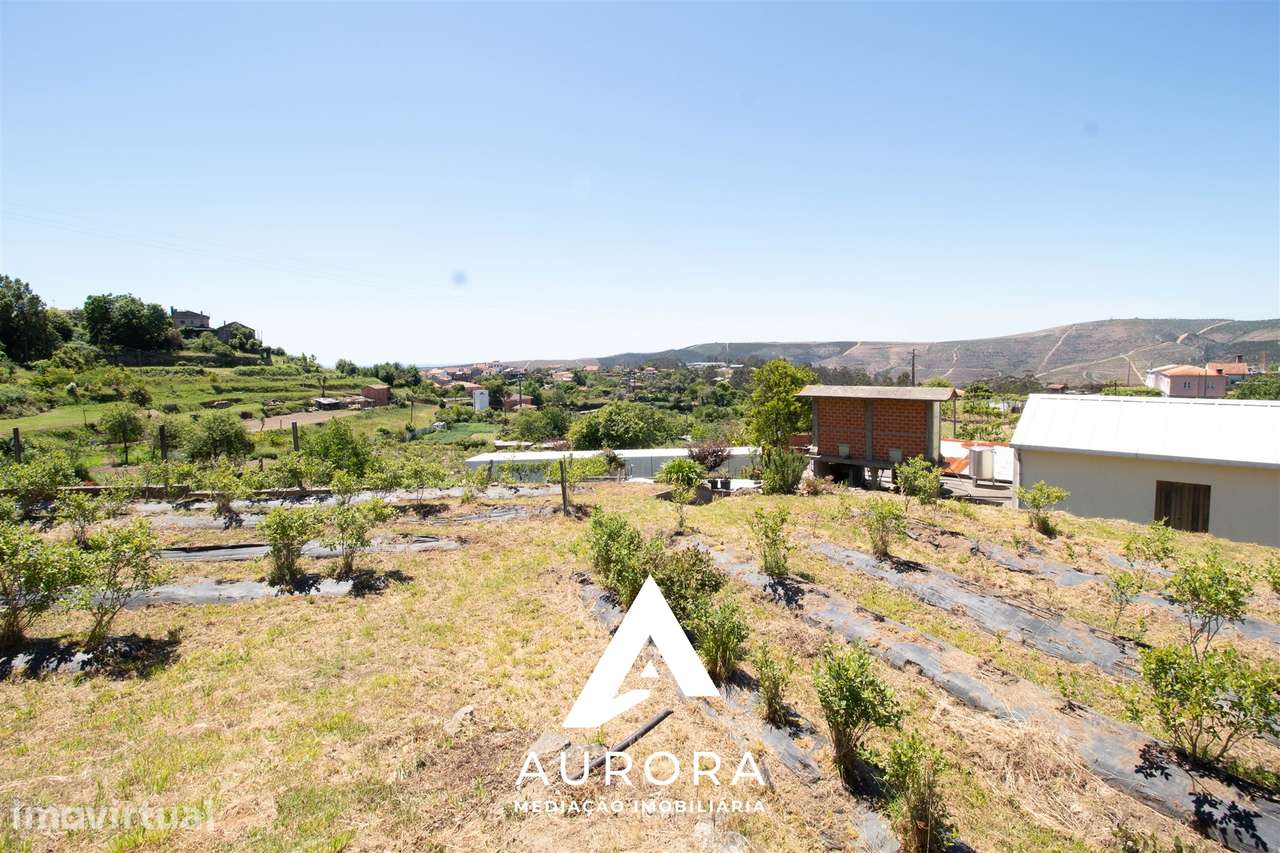 Quinta de Produção de Mirtilos com Infraestruturas Habitacionais e Agr - Grande imagem: 4/28