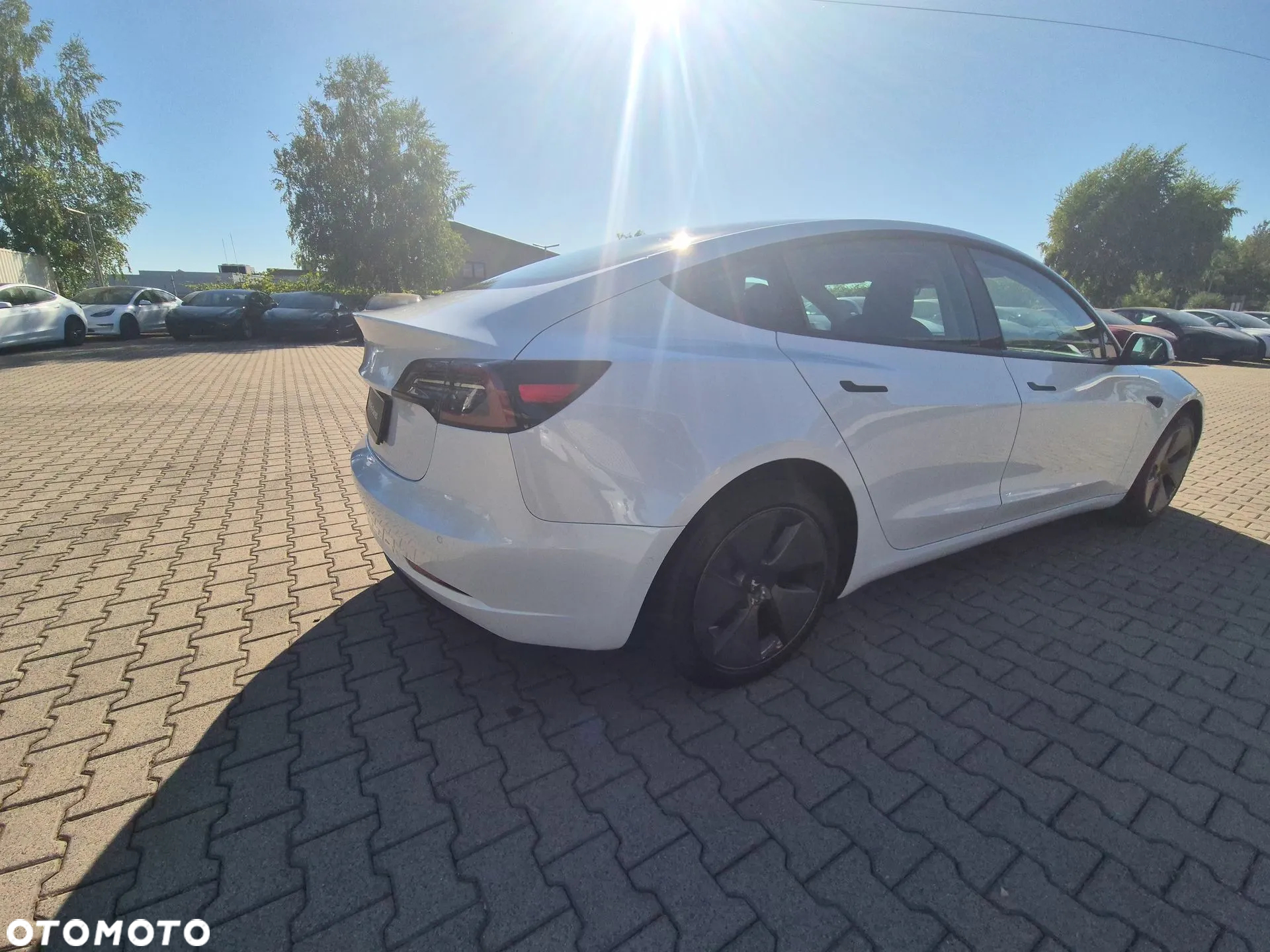 Tesla Model 3 RWD - 7