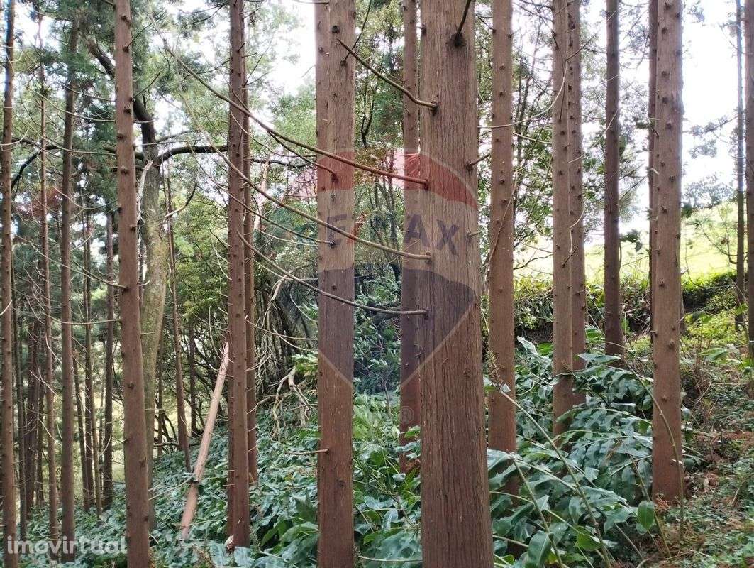 Terreno  para venda - Grande imagem: 2/14