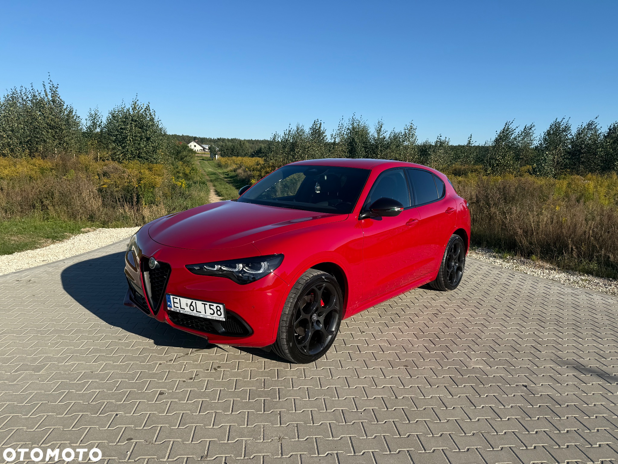 Alfa Romeo Stelvio 2.0 Turbo Intensa Q4 - 11