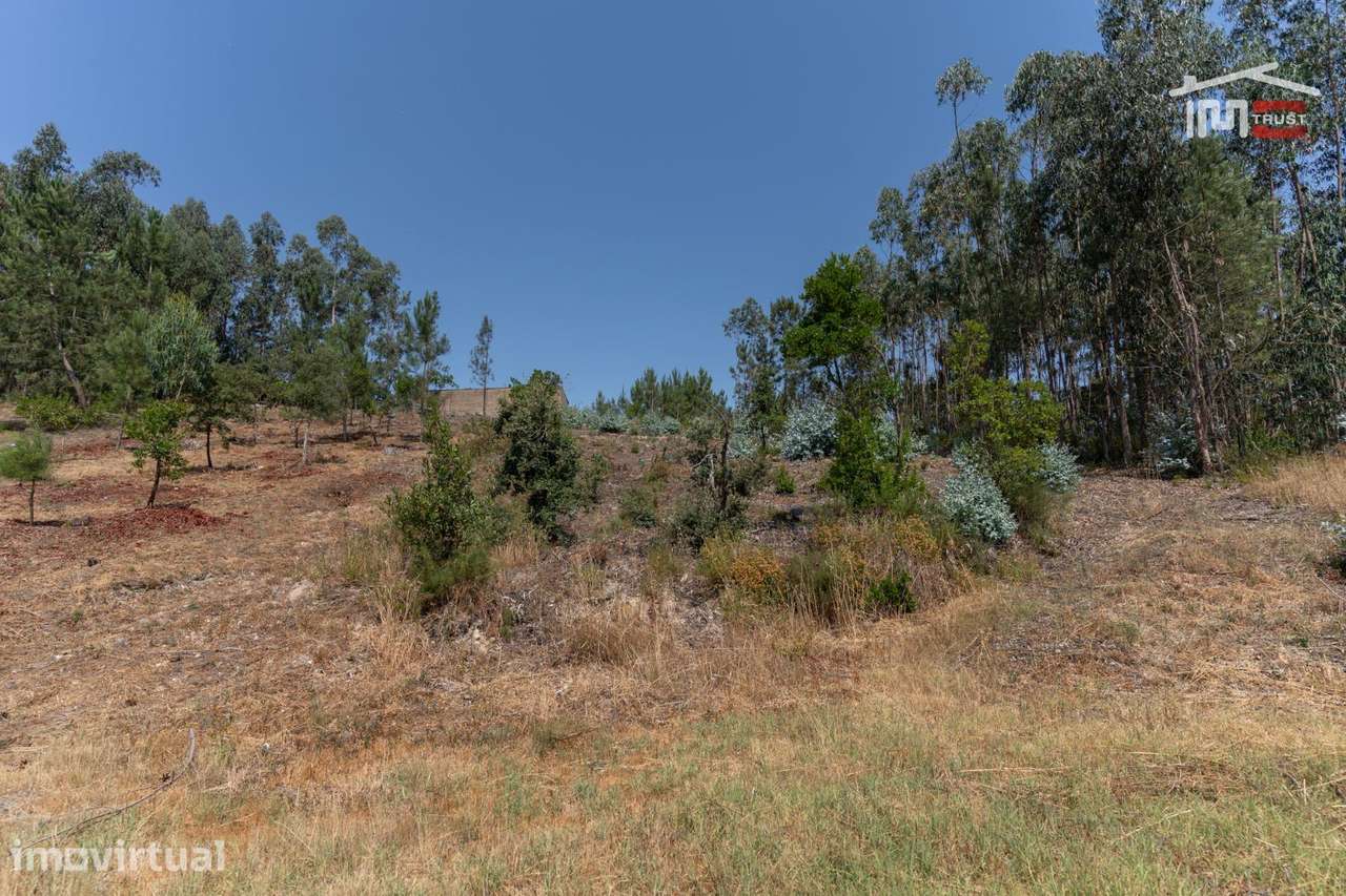 Lote de terreno em Ourém - Grande imagem: 4/10