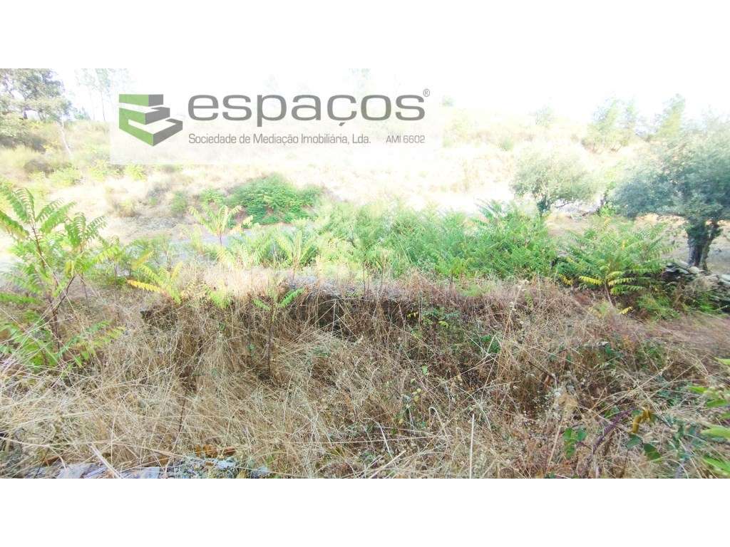 Terreno - Grande imagem: 5/7