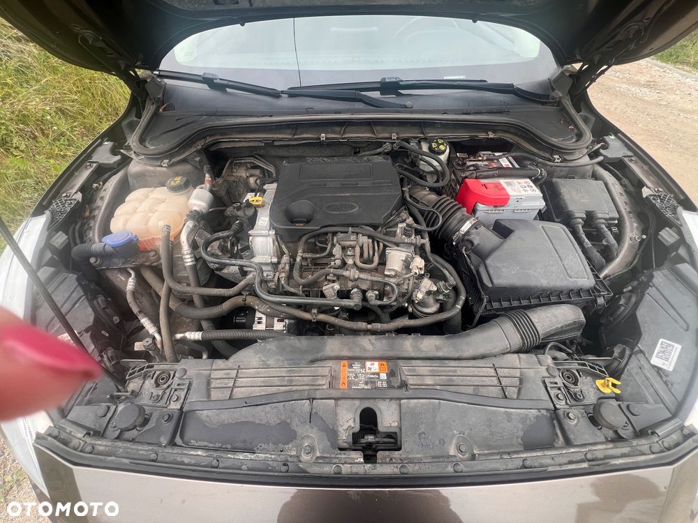 Ford Focus - 7