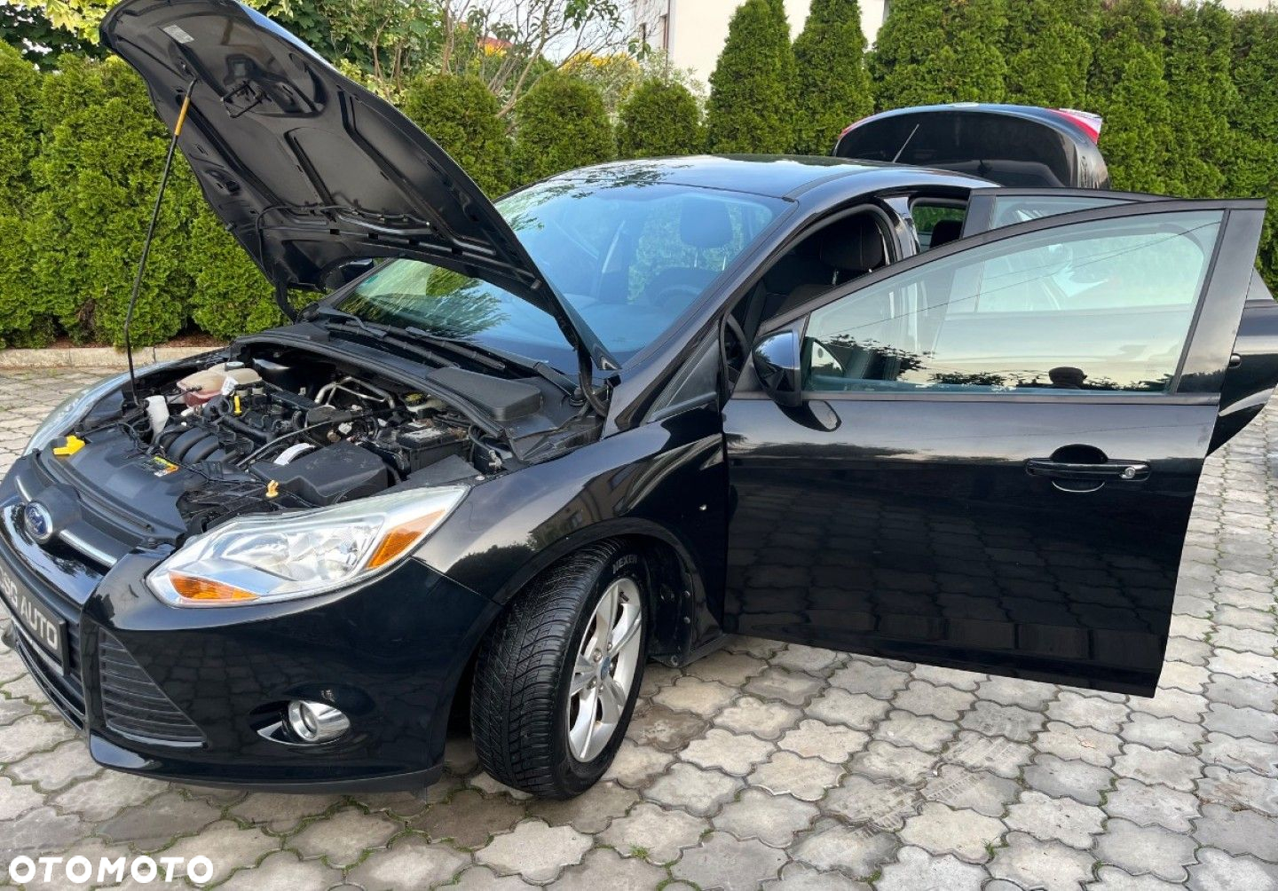 Ford Focus - 17