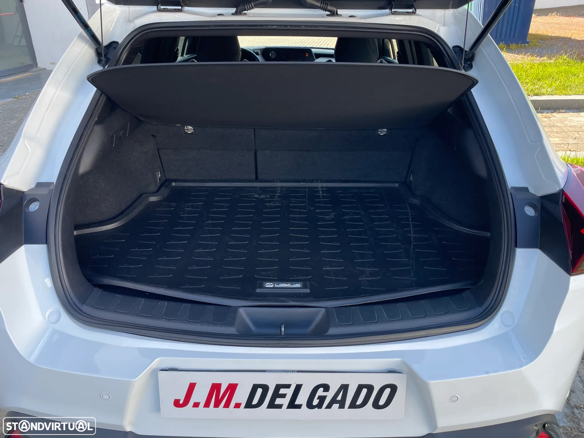 Lexus UX 250h F Sport - 10