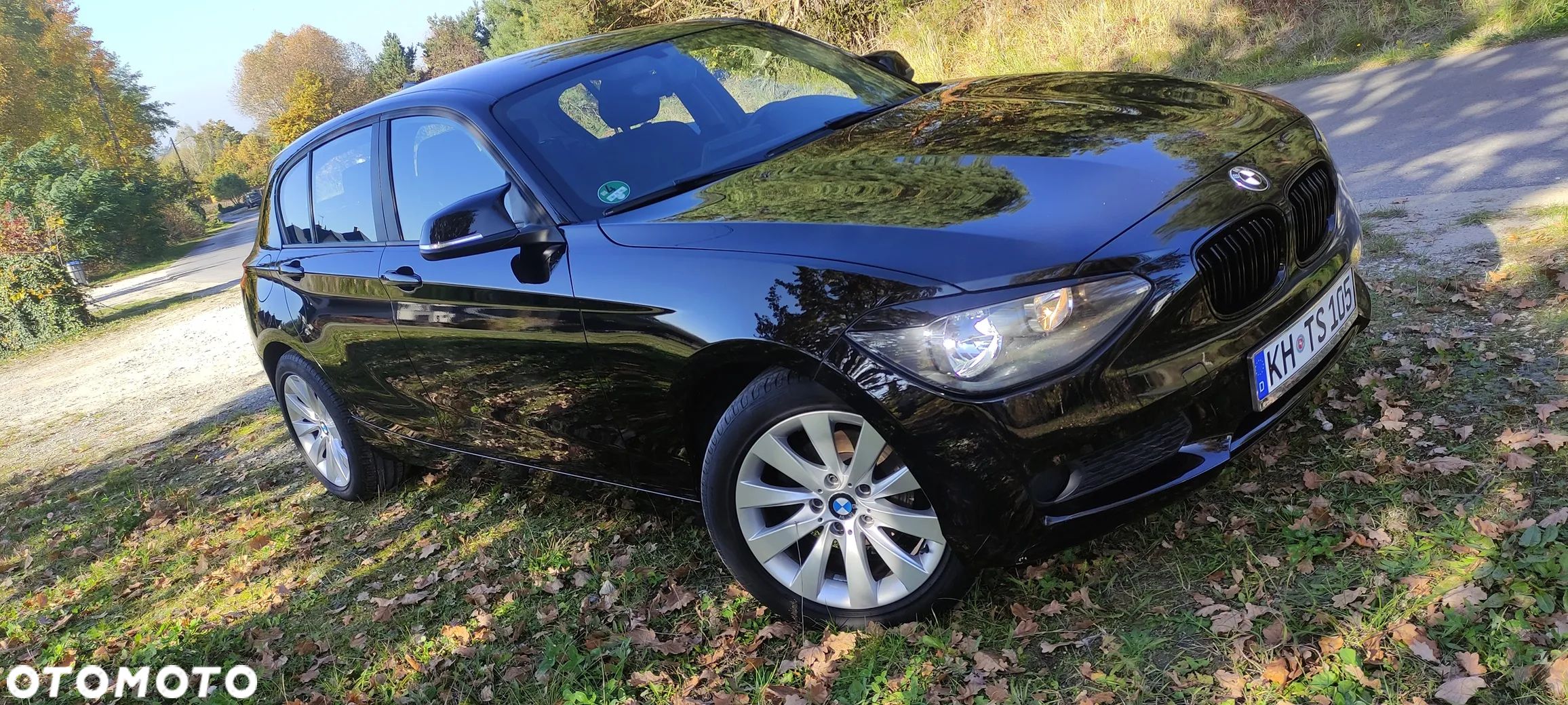 BMW Seria 1 116i - 1