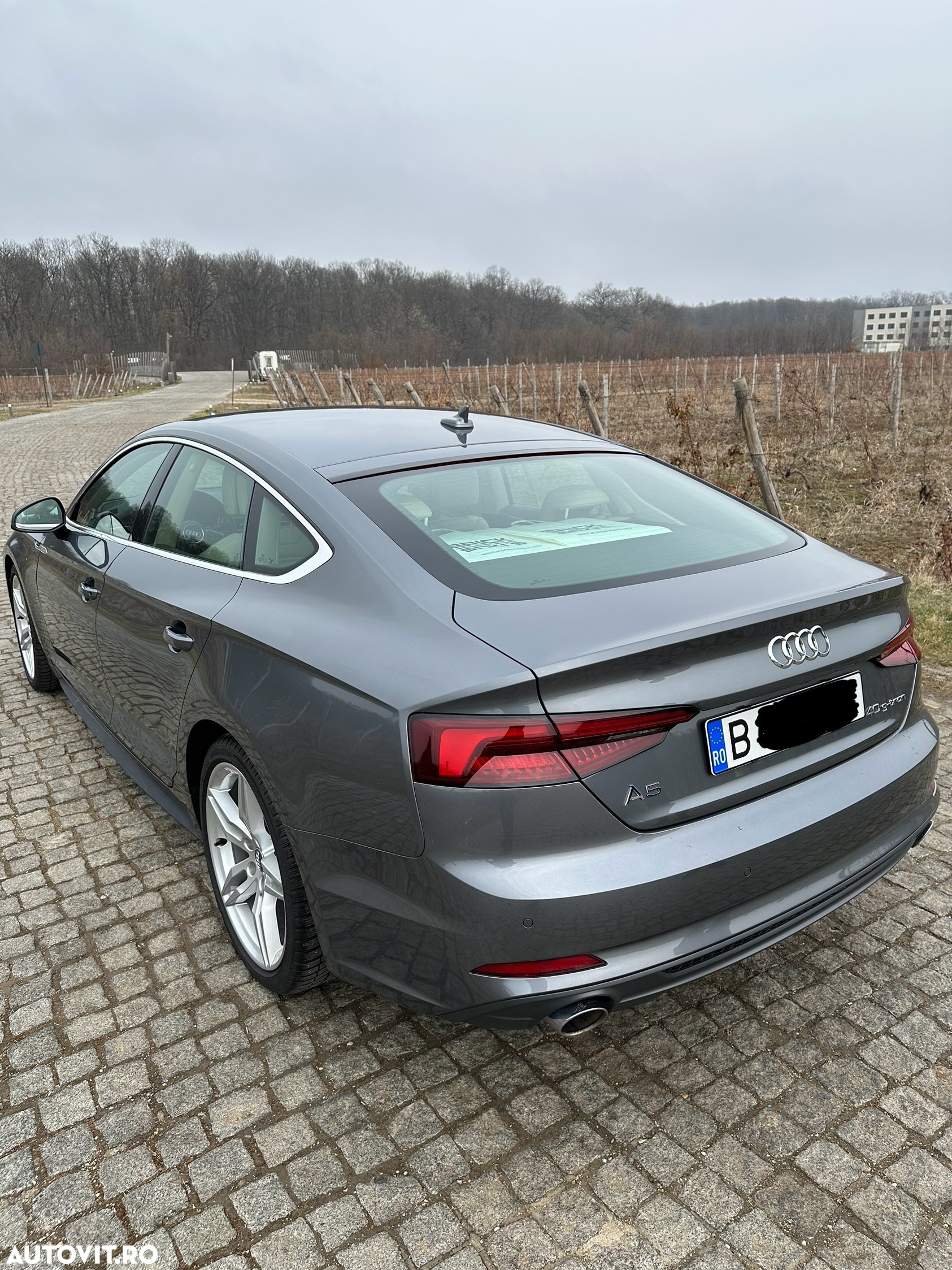 Volkswagen Passat - 6