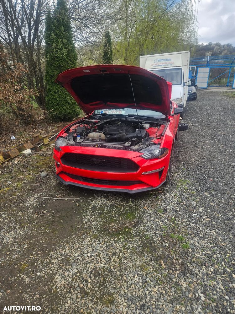 Ford Mustang Cabrio 2.3 Eco Boost - 4