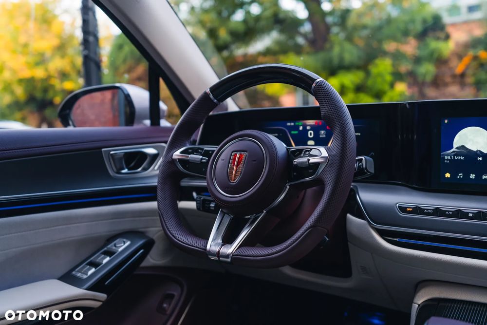Hongqi H9 2.0T Deluxe - 23