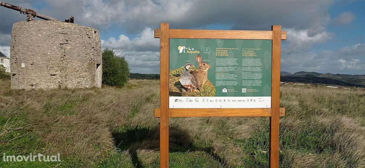 Terreno Rústico  Venda em São João das Lampas e Terrugem,Sintra - Grande imagem: 3/31