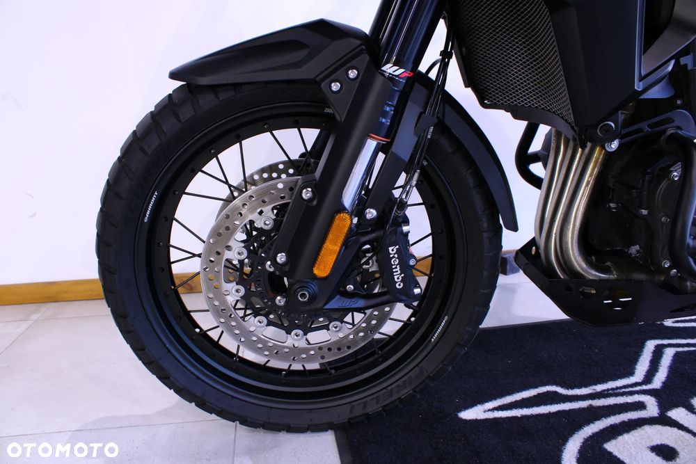 Triumph Tiger - 33