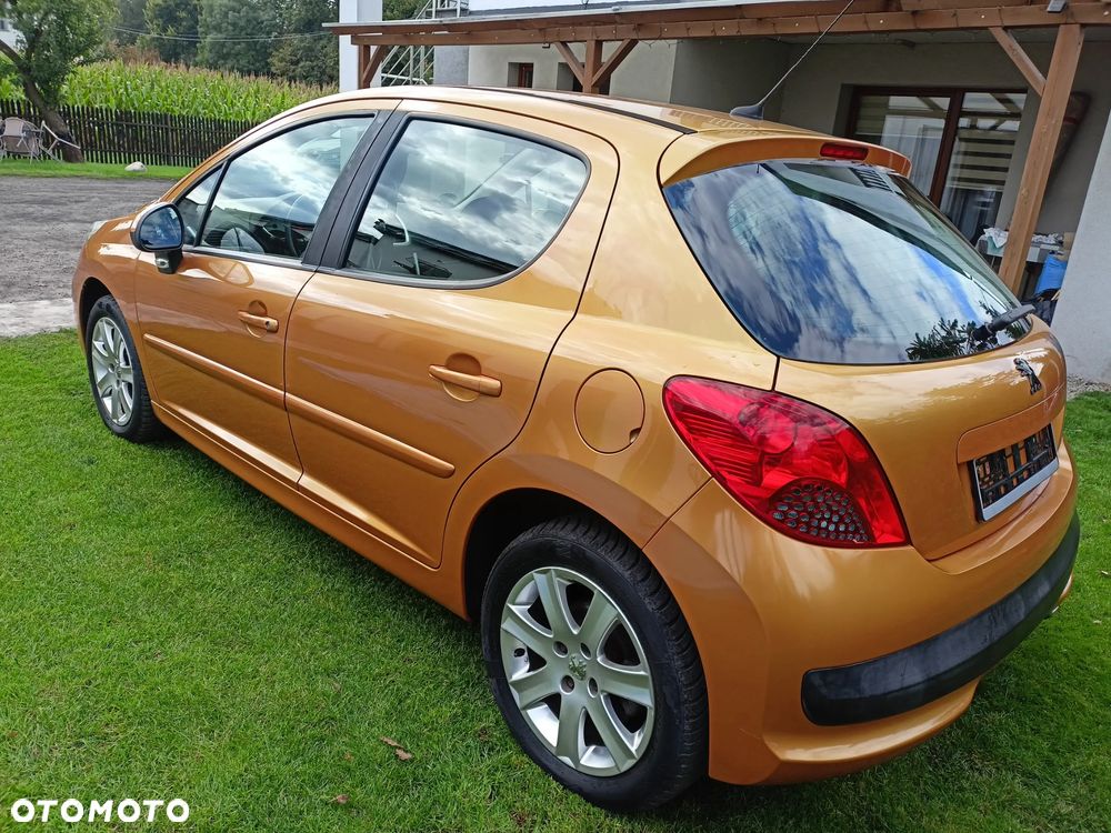 Peugeot 207 - 5