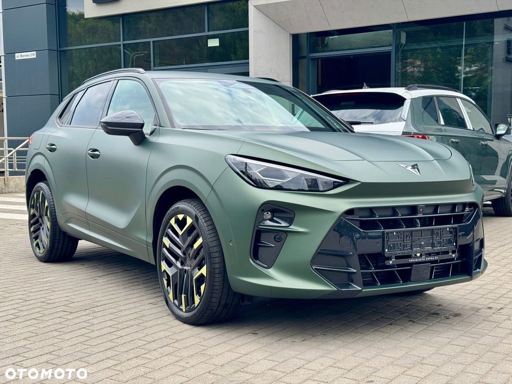 Cupra Terramar 2.0 TSI 4Drive Tribe Edition DSG - 5