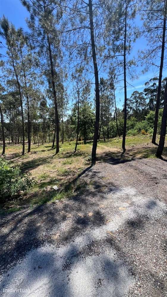 Terreno Para Construção  Venda em Mundão,Viseu - Grande imagem: 4/4