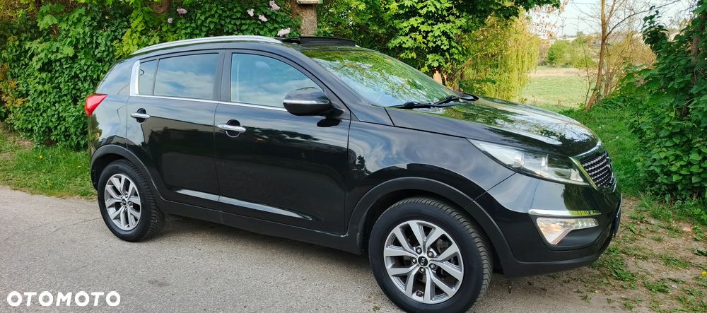 Kia Sportage 1.6 GDI Business Line L 2WD - 2