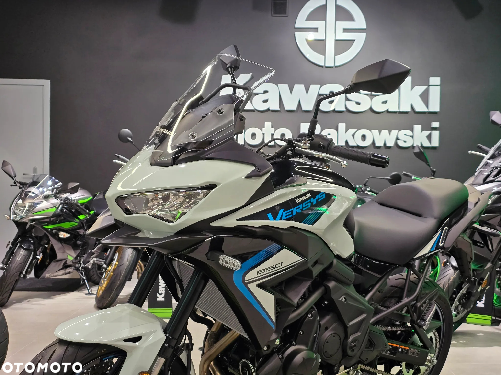 Kawasaki Versys 650 - 14