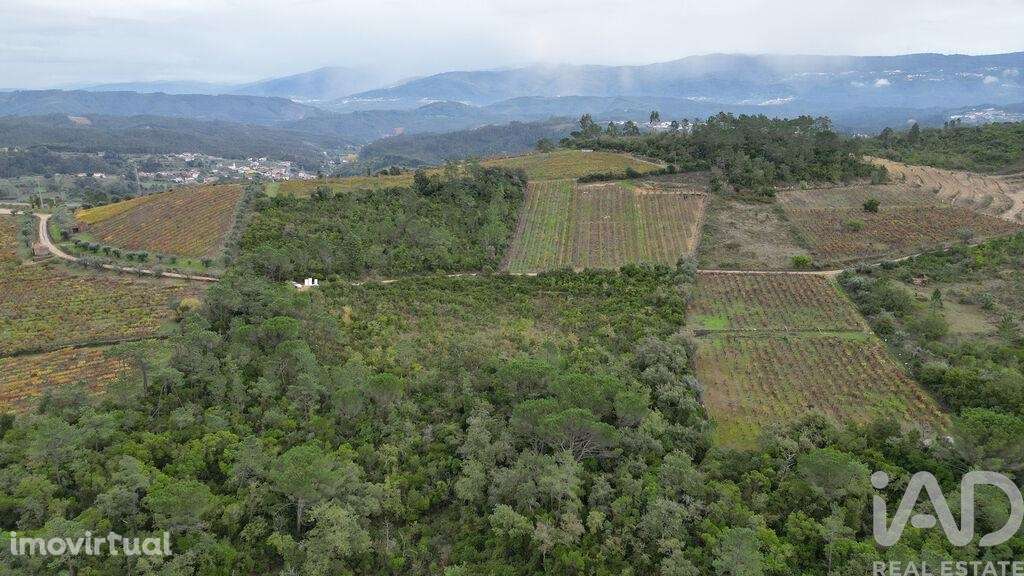 Terreno Agrícola em Condeixa-a-Velha e Condeixa-a-Nova - Grande imagem: 2/18
