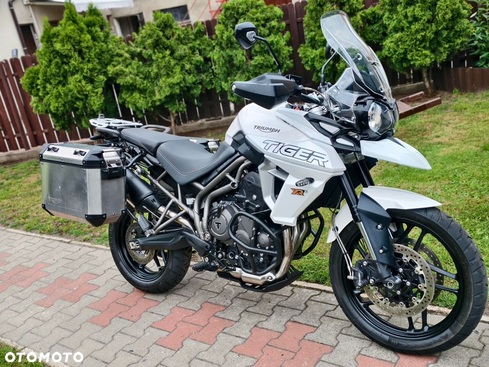 Triumph Tiger - 1