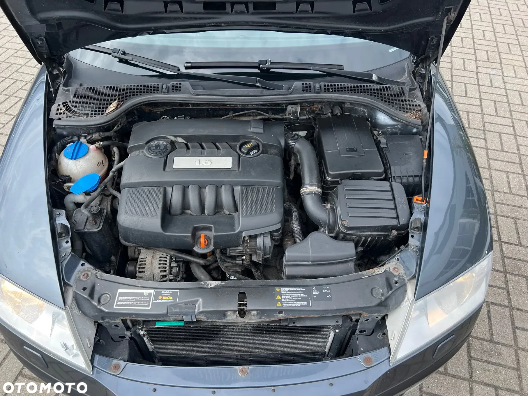 Skoda Octavia 1.6 Elegance - 20