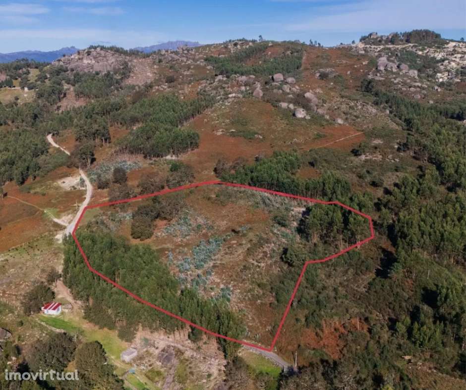 Terreno com Potencial para Unidade Hoteleira | Gerês – Vieira do M - Grande imagem: 4/4