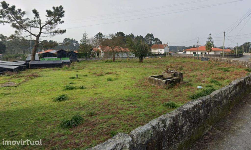 Terreno Rústico - Grande imagem: 5/5