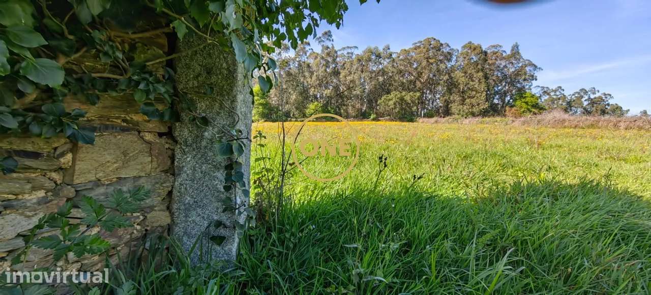 Terreno agrícola de grande dimensão em Rio Tinto, Esposende - Grande imagem: 4/16