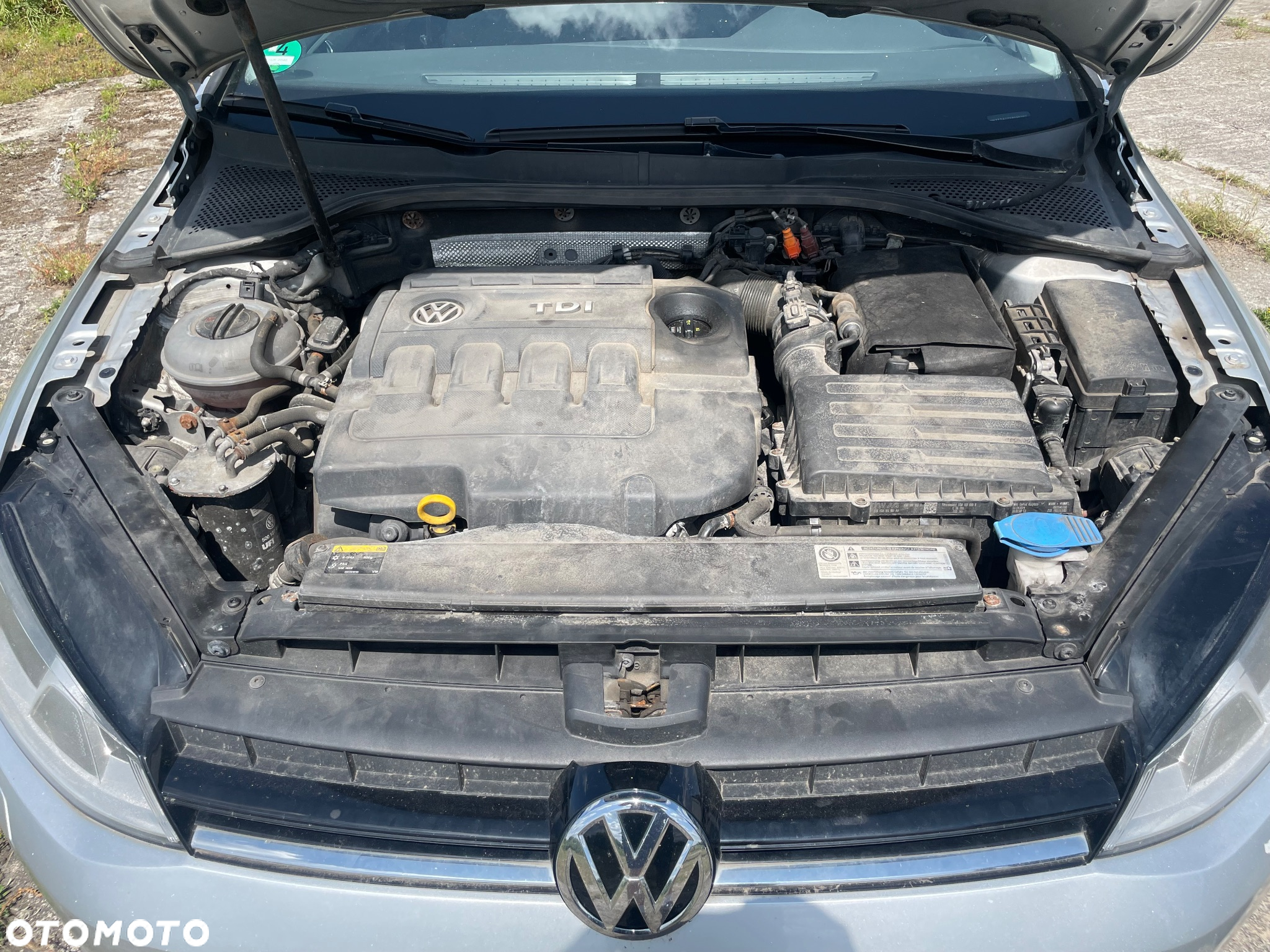 Volkswagen Golf - 10