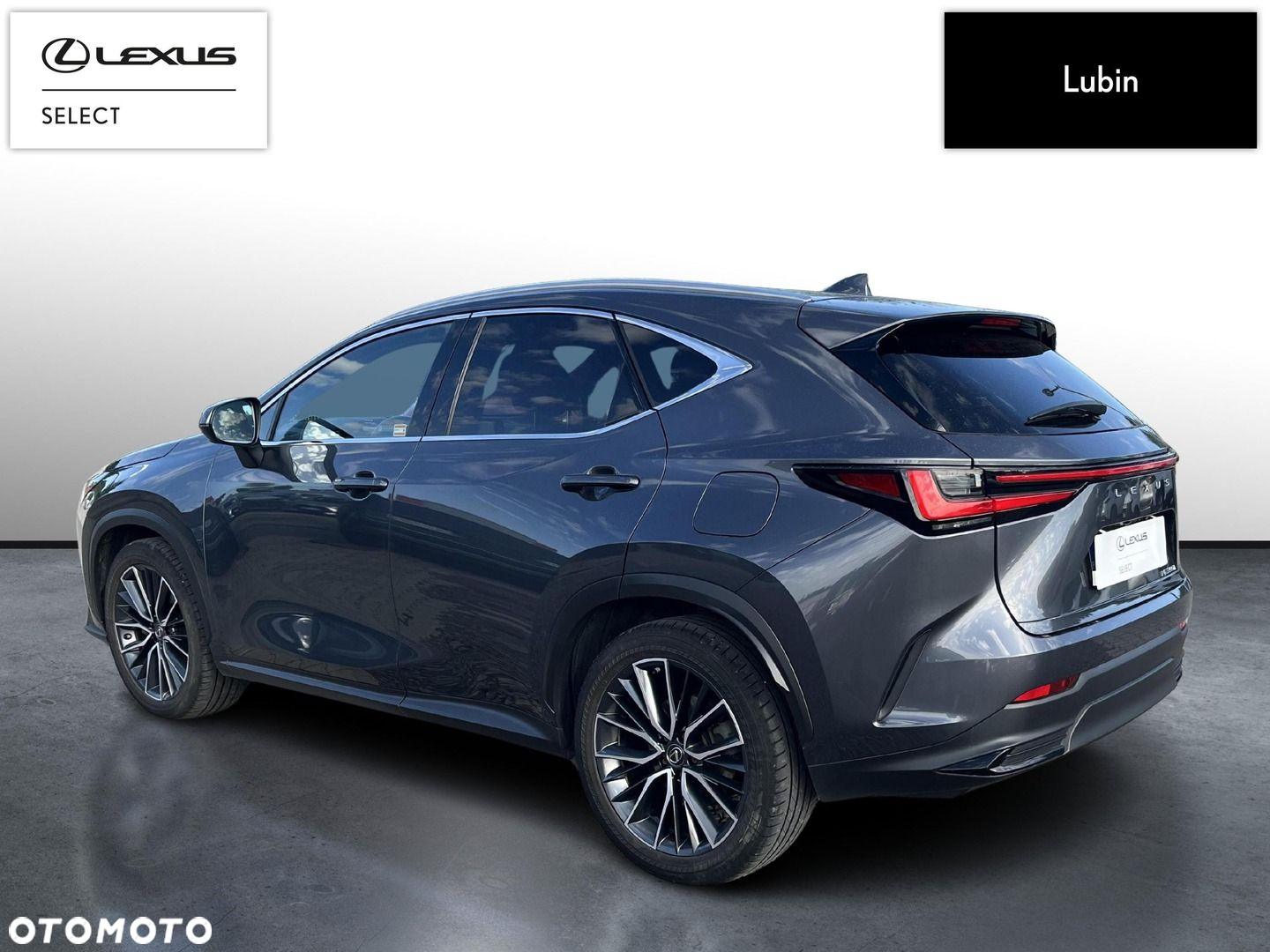 Lexus NX - 3