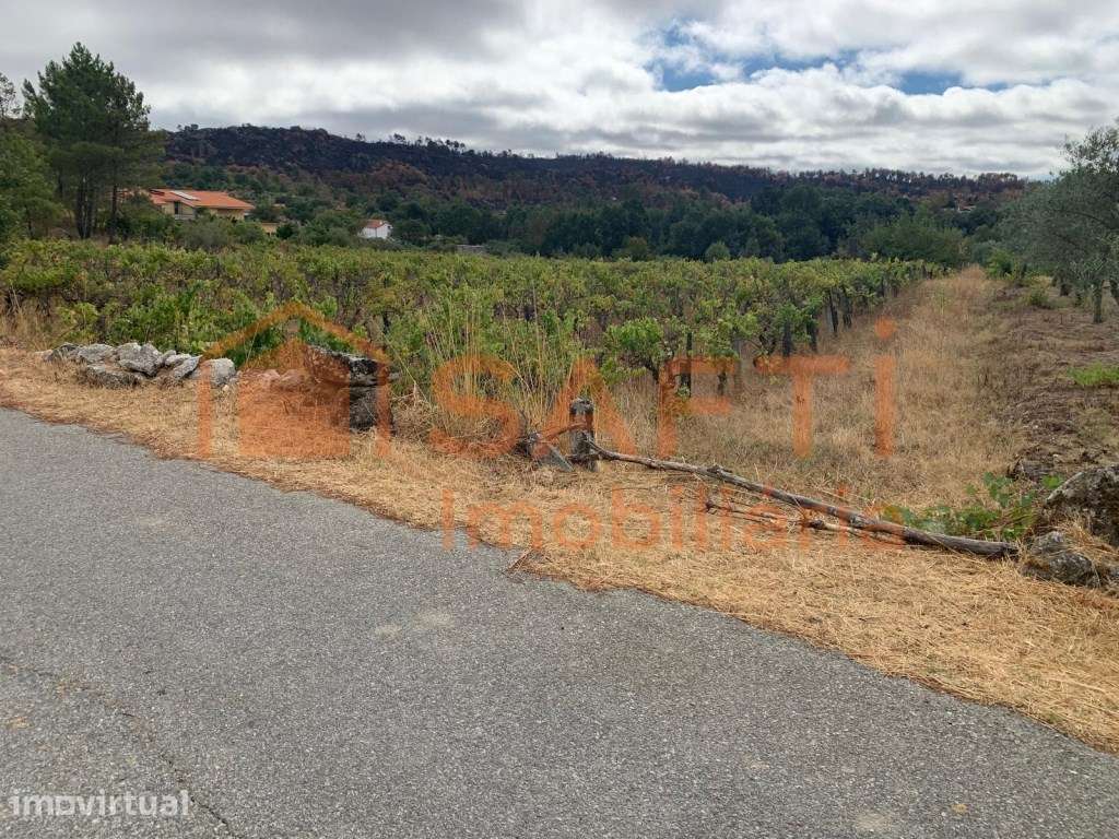 Terreno à venda em Prados - Pinhel - Grande imagem: 2/19