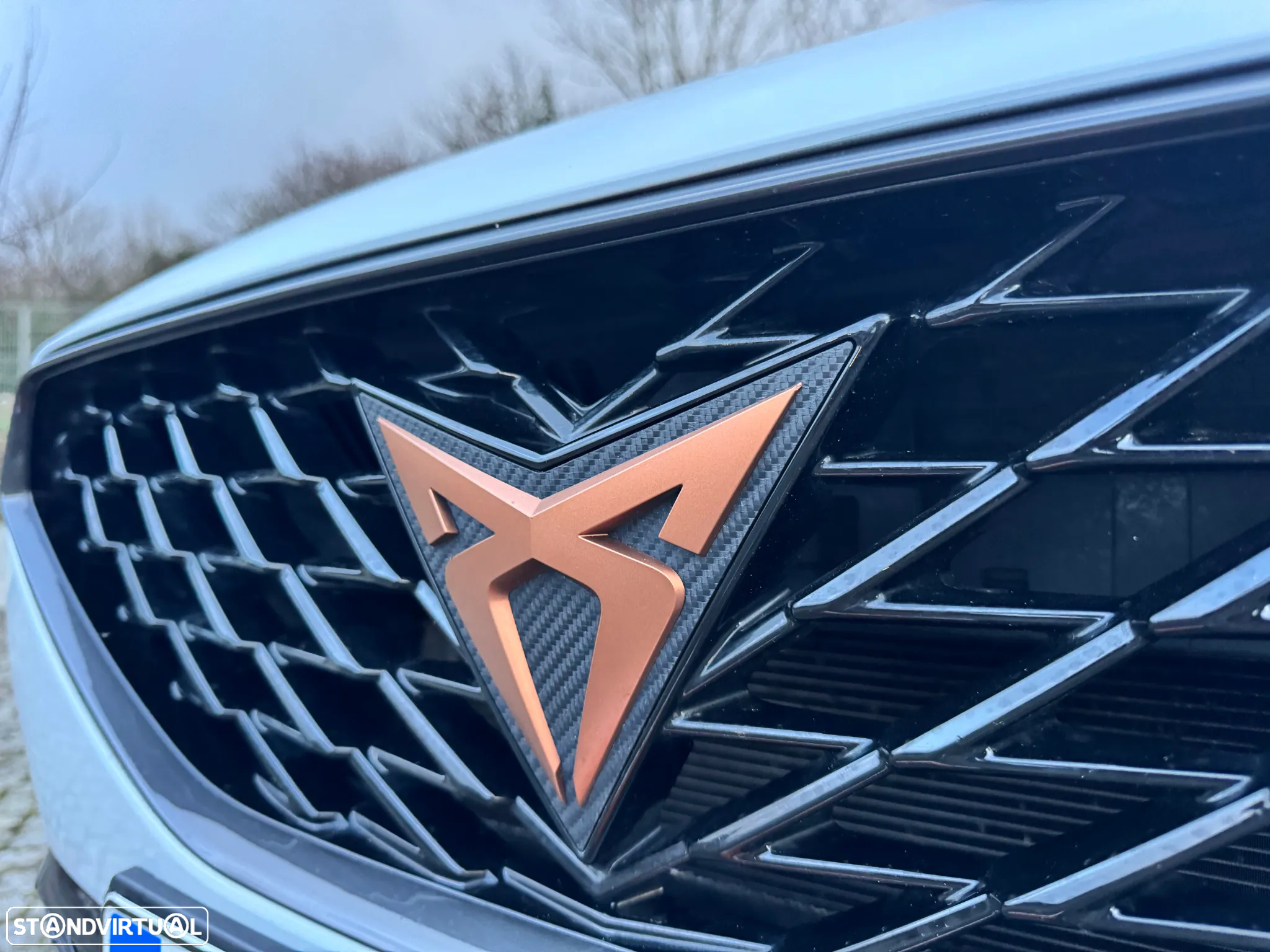 Cupra Formentor 1.5 TSI DSG - 40