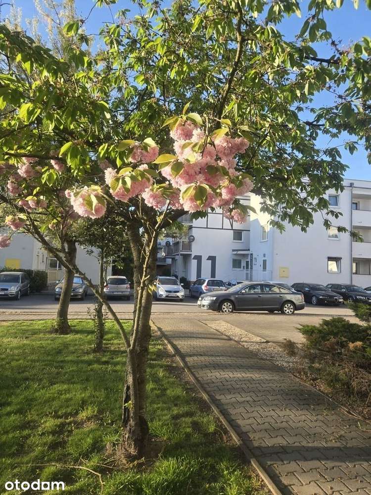 Przytulne mieszkanie idealne dla Singla