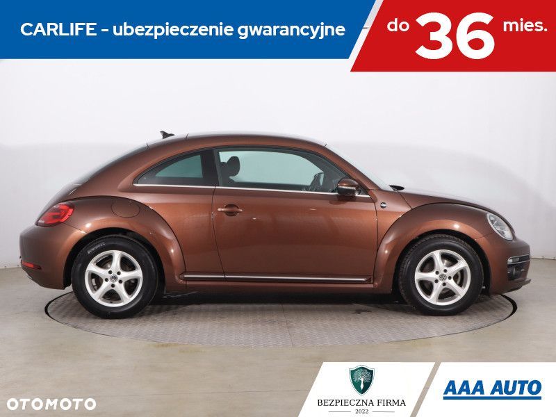 Volkswagen Beetle - 8