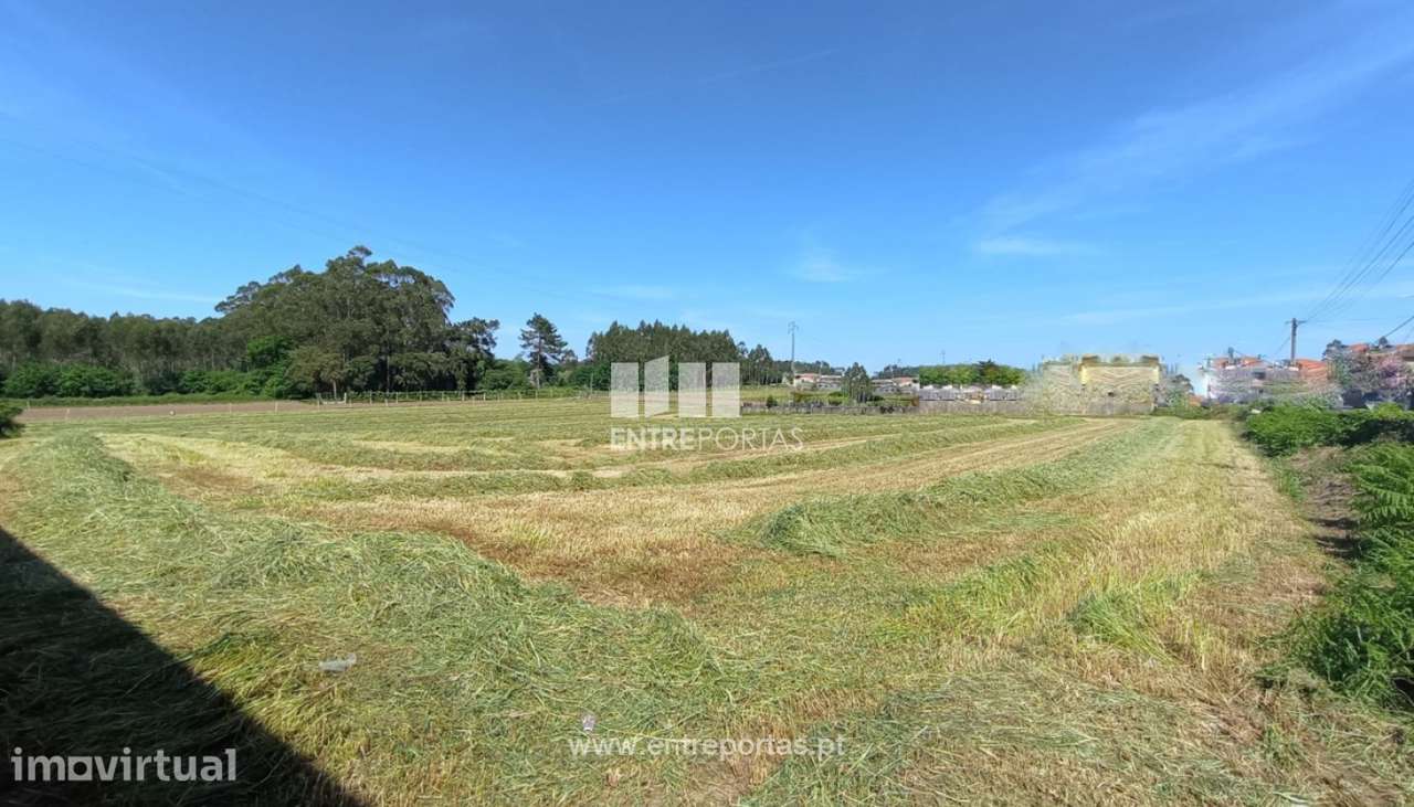 Venda de Terreno com 15 000 m2, Vilar, Vila do Conde - Grande imagem: 2/11