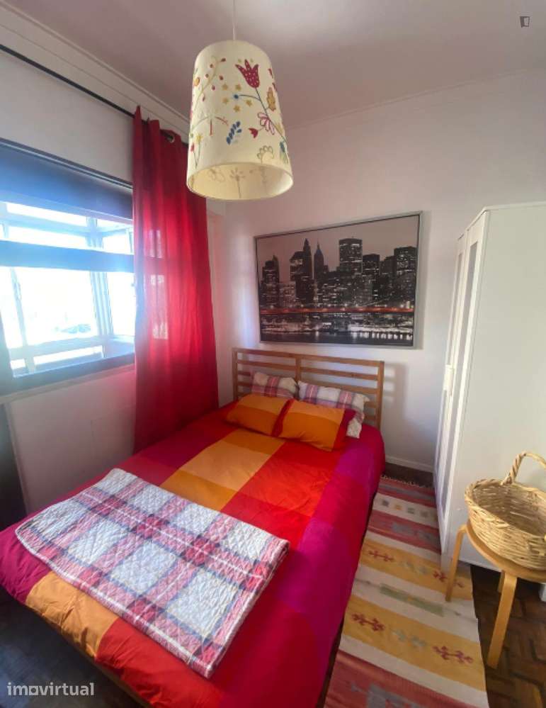 Roomy apt near Cidade Univesitária / Spacious apt near University - Grande imagem: 2/20