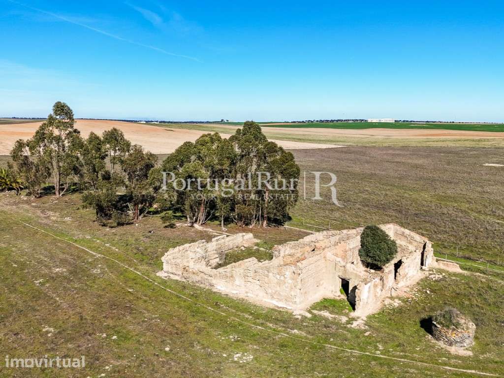Quinta de 7 hectares com ruínas e potencial turístico - Grande imagem: 2/13