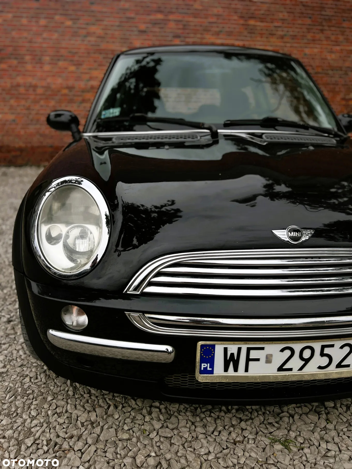 MINI ONE - 31