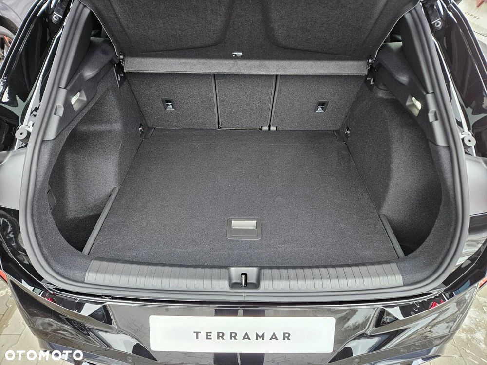 Cupra Terramar 2.0 TSI 4Drive Tribe Edition DSG - 9