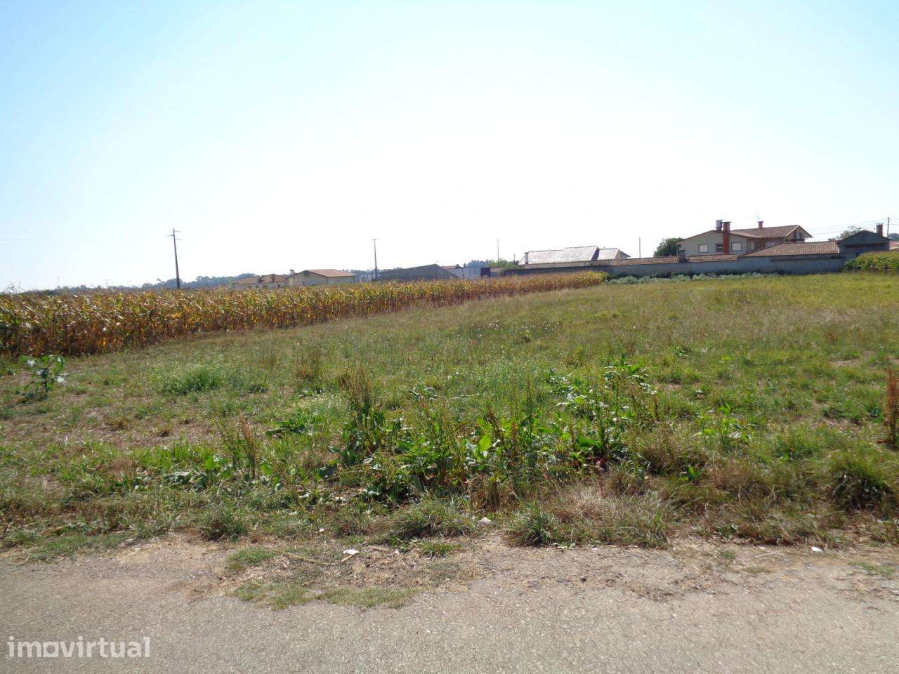 Terrenos em Tonce - Loureiro - O Azeméis - Grande imagem: 5/6