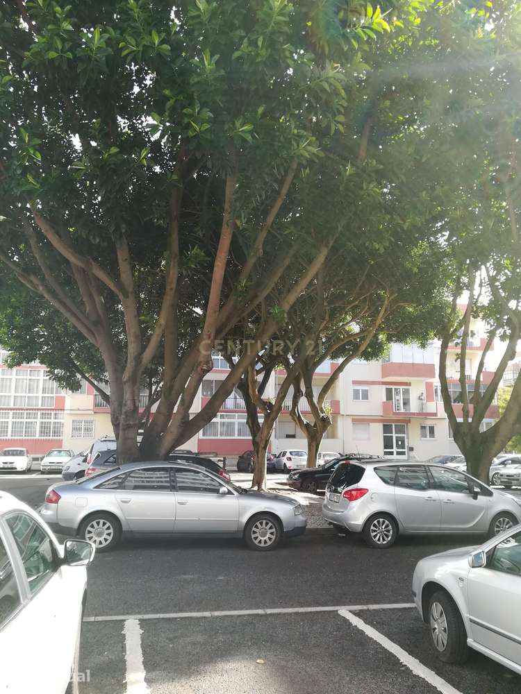 Apartamento T1 em Oeiras com Vista para a Cidade - Grande imagem: 2/22