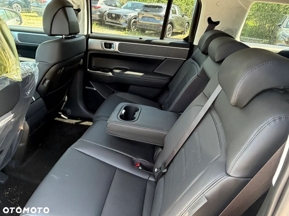 Hyundai Santa Fe - 21