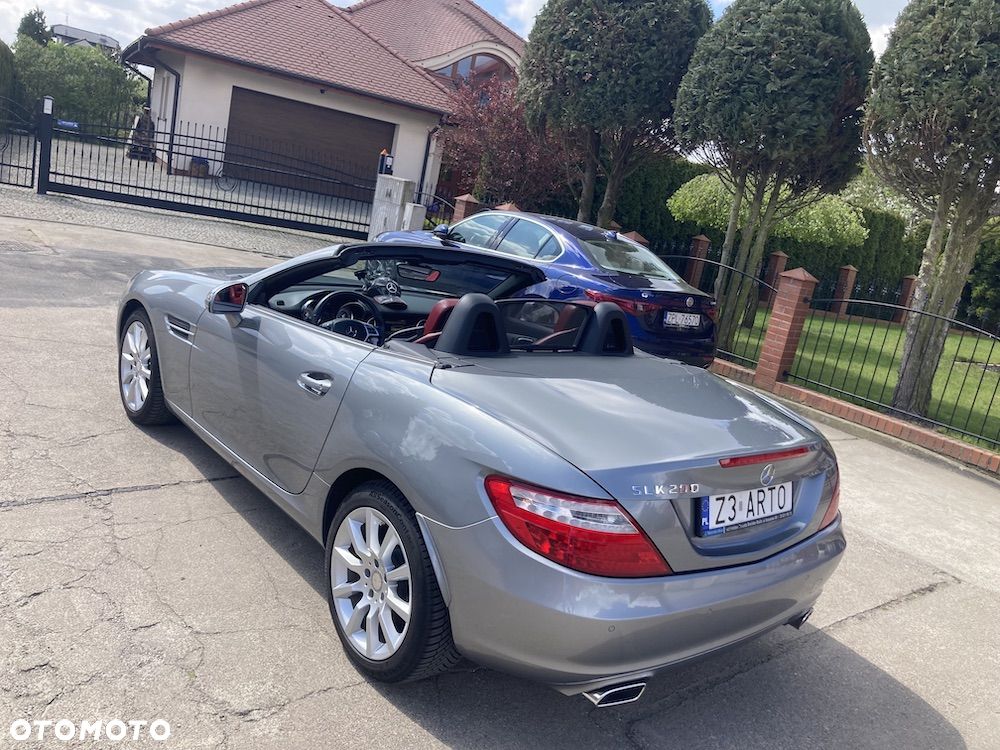 Mercedes-Benz SLK - 10