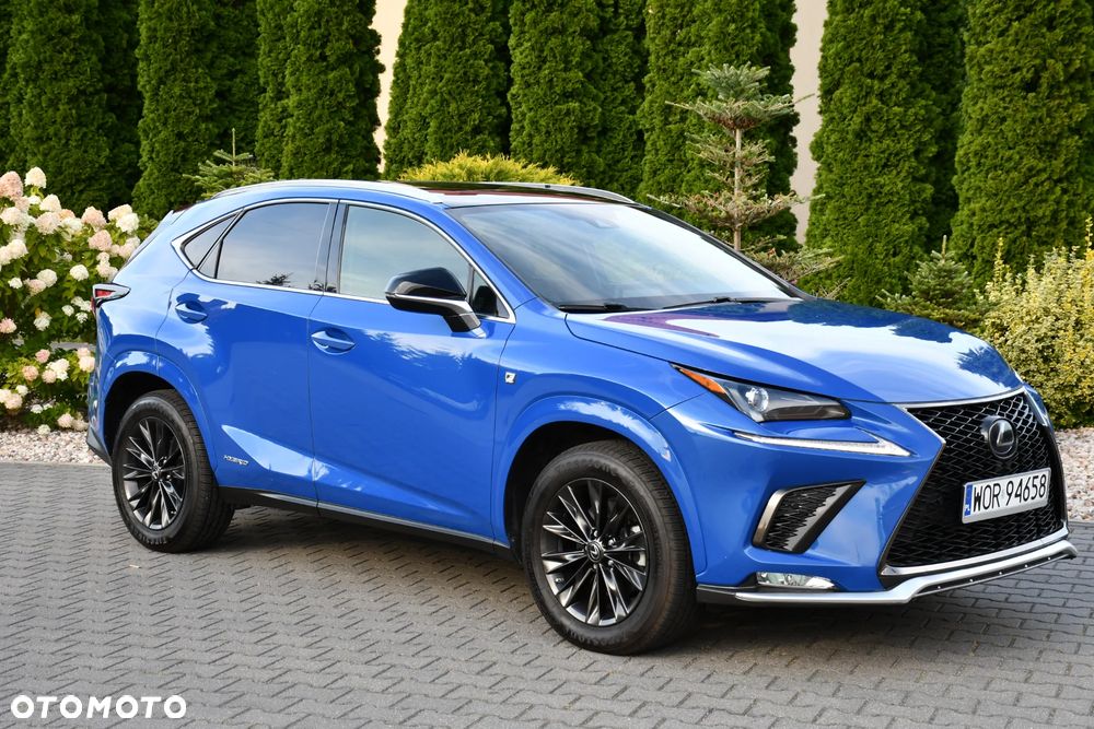 Lexus NX 300h E-FOUR F SPORT - 9