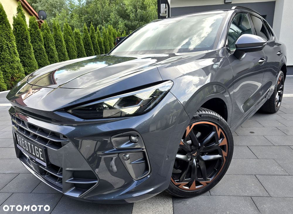 Cupra Terramar - 1