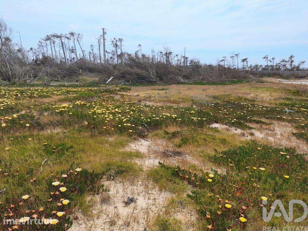 Terreno para construção em Pataias e Martingança