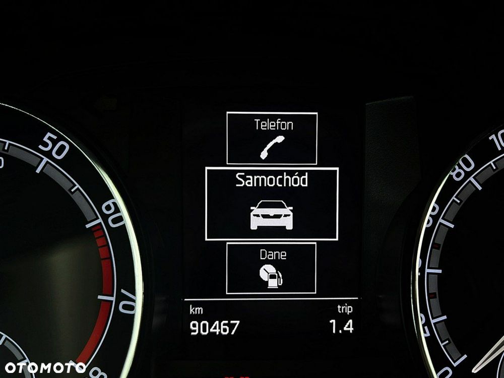 Skoda RAPID - 41